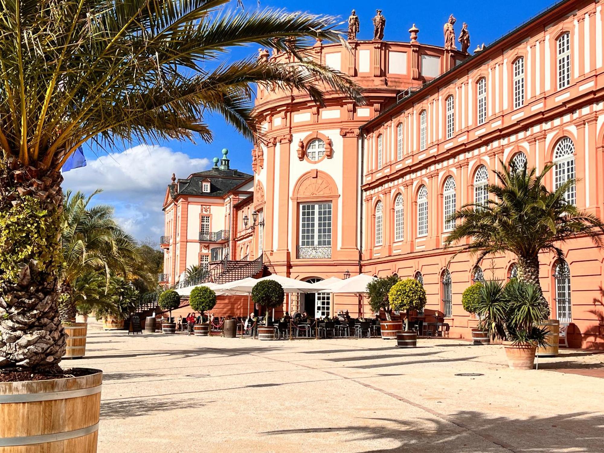Am Schloss-park Biebrich Am Rhein Apartment